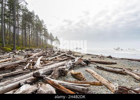 Berühmter Ruby Beach an der Pazifikküste, Olympic National Park, USA Stockfoto