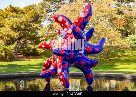 Bronx, NY - Oktober 28,2021: NY BOTANICAL GARDEN. Gezeigt wird, dass ich ins Universum fliegen möchte. Stockfoto