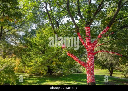 Bronx, NY - Oktober 28,2021: NY BOTANICAL GARDEN. Hier gezeigt Aufstieg von Tupfen auf den Bäumen Stockfoto