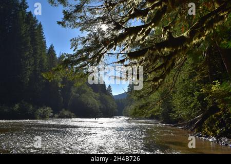 Zwei Personen genießen einen idyllischen Spätsommertag auf dem flachen Lower Lewis River im Gifford Pinchot National Forest, Washington State, USA. Stockfoto