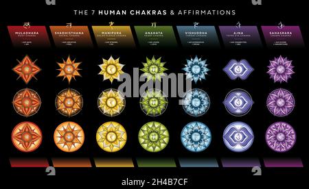 Chakra-Symbole mit Affirmationen: Kronenchakra, Chakra des dritten Auges, Kehlchakra, Herzchakra, Solar Plexus Chakra, Sakrales Chakra, Wurzelchakra Stockfoto