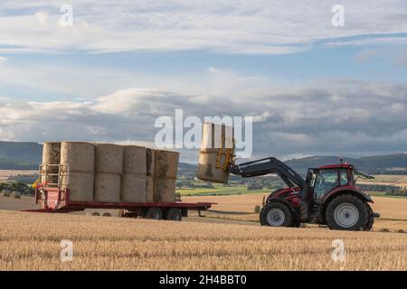 Ein landschaftlich reizvoller Blick über das Farmland in Aberdeenshire mit einem Traktor, der einen Trailer mit Strohballen in einem Stoppelfeld lädt Stockfoto