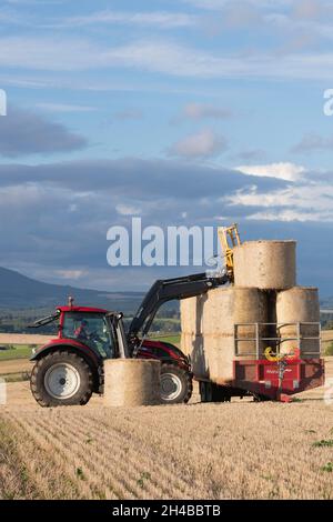 Ein Marshall-Trailer, der von einem Landwirt in einem Red Valtra Traktor auf einem Stoppelfeld in Schottland mit runden Ballen beladen wird Stockfoto