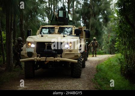 U.S. Marines with Combat Logistics Bataillon 4, Combat Logistics Regiment 3, 3d Marine Logistics Group, führen Cache-Tropfen Wasser und Rationen im zentralen Trainingsbereich, Okinawa, Japan, durch, 24. Oktober 2021. CLB-4 setzte ein ultraleichtes Logistikpaket ein, das aus Marines verschiedener Berufsgebiete bestand, um die ersten Kräfte der Golf Company, des 2. Bataillons und der 8. Marines in einer simulierten expektionären, fortgeschrittenen Basisbetriebsumgebung zu unterstützen. 3d MLG mit Sitz in Okinawa, Japan, ist eine nach vorne eingesetzte Kampfeinheit, die als umfassender Logistik- und Kampfdienst der III MEF dient Stockfoto