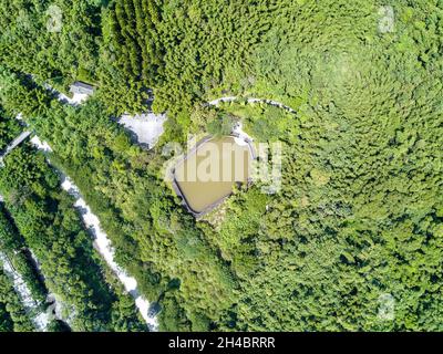 Vertikale Luftaufnahmen von einem See und einem Teich im Freiluftdschungel Stockfoto