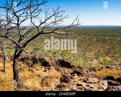 Blick vom Mount Glemont über die Savanne der Charnley River Station, West Kimberley, Westaustralien Stockfoto