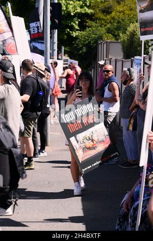 Melbourne, Australien, 2. November 2021. Anti-Rennen-Demonstranten außerhalb der Strecke, als 10,000 Rennbesucher auf der Flemington Racecourse für den Melbourne Cup 2021 abstiegen, der zum ersten Mal nach einer Sperre in Melbourne ausgetragen wurde. Quelle: Michael Currie/Speed Media/Alamy Live News Stockfoto