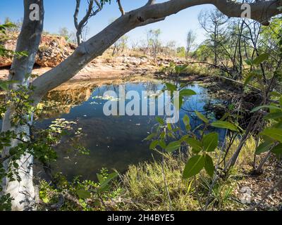Donkey Pools Waterhole, Charnley River Station, Wet Kimberley, Western Australia, Australien Stockfoto