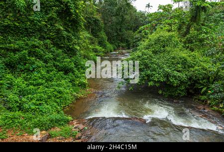 Aruvikuzhy Wasserfälle Kottayam Kerala Indien Stockfoto