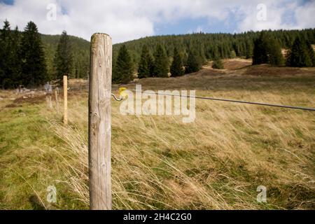 Elektrozaun umzäunt eine Wiese auf dem Feldberg im Schwarzwald Stockfoto