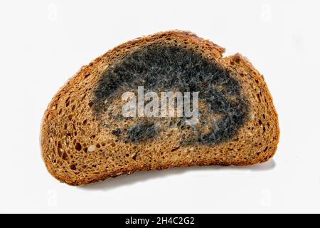 Schimmelige Scheibe Roggenbrot isoliert auf weißem Hintergrund Stockfoto