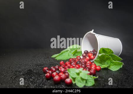 Preiselbeeren mit Minze werden aus dem weißen Eimer geströmt. Dunkler Hintergrund. Speicherplatz kopieren. Das Foto ist mit einem leichten Dunst von Mikrowassertröpfchen bedeckt Stockfoto