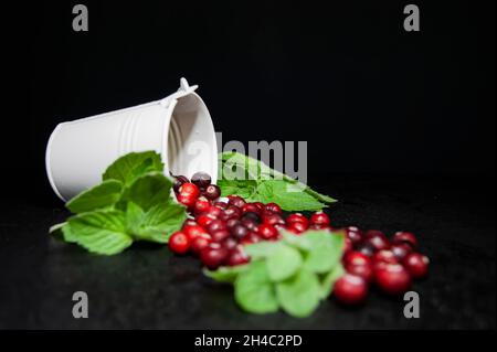 Preiselbeeren mit Minze werden aus dem weißen Eimer geströmt. Dunkler Hintergrund. Alles ist mit Wassertröpfchen bedeckt. Stockfoto