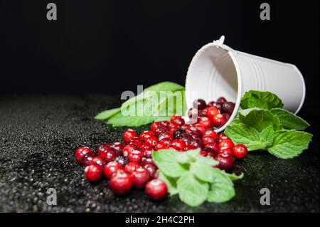 Preiselbeeren mit Minze werden aus dem weißen Eimer geströmt. Dunkler Hintergrund. Speicherplatz kopieren. Wassertropfen sorgen für Frische. Stockfoto