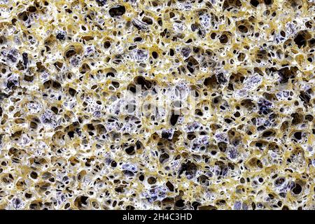 Extreme Nahaufnahme eines Schwamms mit zerkleinerten Olivensteinen zum Massage und Peeling der Haut Stockfoto