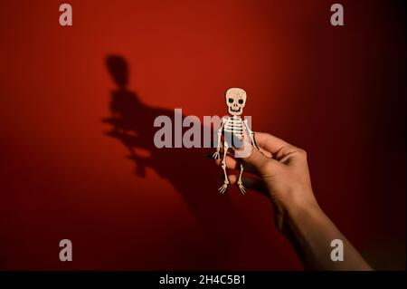 Menschliches Skelett Spielzeug in der Hand mit einem Schatten Stockfoto