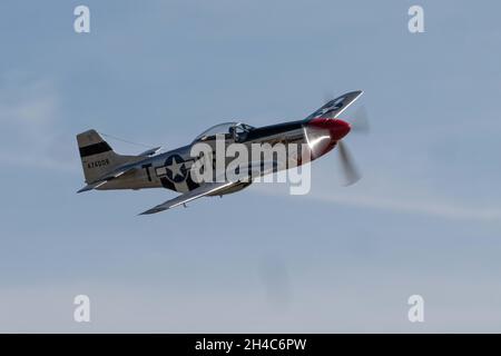 31. Oktober 2021, Salinas, CA: P-51 Mustang tritt während der 40. Jährlichen California International Airshow auf. (Stan Szeto/Image of Sport) Stockfoto