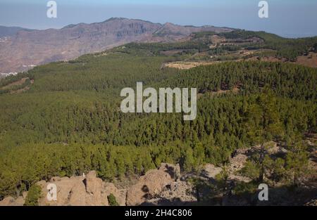Gran Canaria, zentraler montainous Teil der Insel, Las Cumbres, dh die Summits Stockfoto