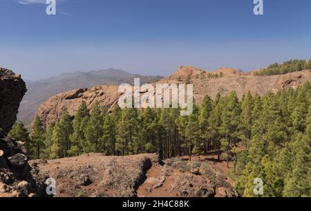 Gran Canaria, zentraler montainous Teil der Insel, Las Cumbres, dh die Summits, Landschaften entlang der beliebten Wanderroute Camino de Plata Stockfoto