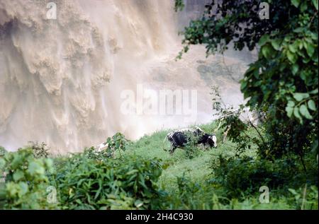 Afrika, Äthiopien Bahir Dar, 1976. Der Blaue Nil fällt oder Tisisat oder Tis Abay in Amharic. Stockfoto