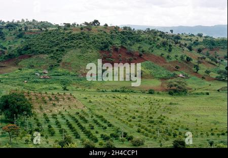 Afrika, Äthiopien Bahir Dar, 1976. Ein Bauernhof auf dem grünen Hügel mit Obst, Mais und anderen Kulturen wachsen. Stockfoto