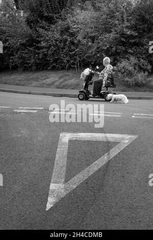 Eine Frau geht mit ihrem Hund mit einem Moped, Porlock, Somerset Stockfoto