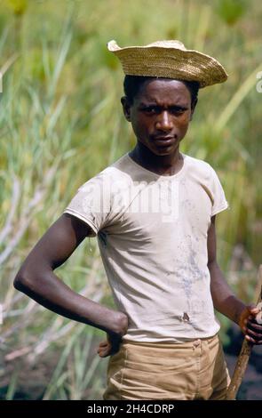 Afrika, Äthiopien Bahir Dar, 1976. Ein Rinderhörer auf den Feldern Stockfoto