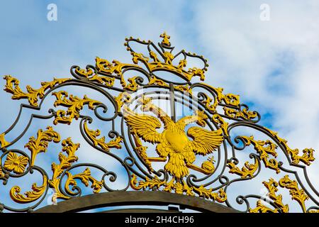 Russischer doppelköpfiger Steinadler gegen den blauen Himmel. Stockfoto