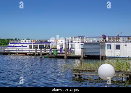 Schiffsanleger, Ausflugboote, Grienericksee, Rheinsberg, Landkreis Ostprignitz-Ruppin, Brandenburg, Deutschland Stockfoto