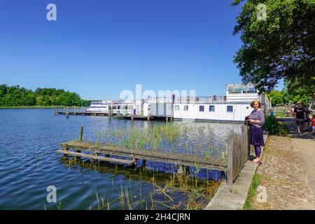 Schiffsanleger, Ausflugboote, Grienericksee, Rheinsberg, Landkreis Ostprignitz-Ruppin, Brandenburg, Deutschland Stockfoto