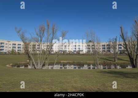 Wohnhäuser, Hufeisenteich, Lowise-Reuter-Ring, Hufeisensiedlung, Britz, Neukölln, Berlin, Deutschland Stockfoto