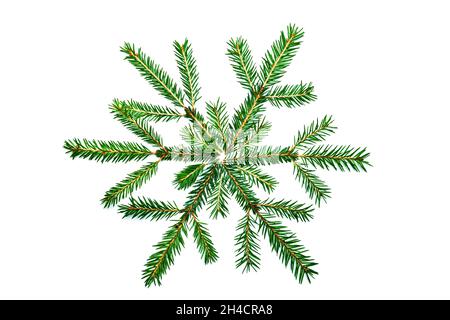 Fichtenzweige, die in Form einer Schneeflocke angelegt sind. Symbol für Weihnachten, Winter und Neujahr. Isoliert auf Weiß. Stockfoto