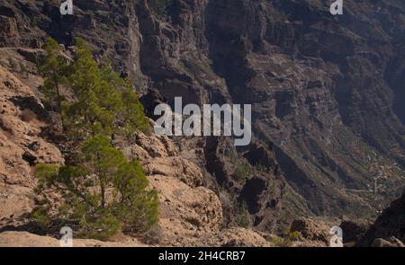 Gran Canaria, zentraler montainous Teil der Insel, Las Cumbres, dh die Summits Stockfoto