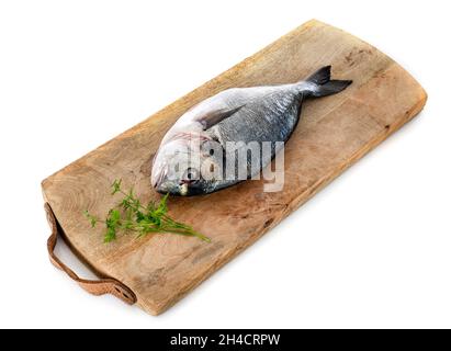 In vergoldeten Kopf Brassen vor weißem Hintergrund Stockfoto