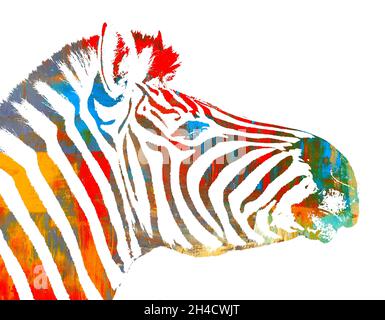 Porträt mit Zebrakärpfenmuster Stockfoto