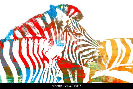 Nahaufnahme eines Zebra-Boss-Illustrationen Stockfoto