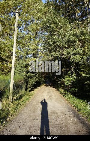 Sandiger Weg, der in einen Tunnel wie Wald mit Stromleitung führt und mich als Schattenfotograf, Ludwigswinkel, Fischbach, Rheinland-Pfalz, Stockfoto