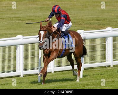 Aktenfoto vom 23-06-2021 von Sean Levey auf der Nuits St Georges. David Menuisier hofft, dass Nuits St Georges ihn ein zweites Jahr in Folge überraschen kann, indem er die Erwartungen beim Virgin Bet November Handicap in Doncaster übertrifft. Ausgabedatum: Dienstag, 2. November 2021. Stockfoto