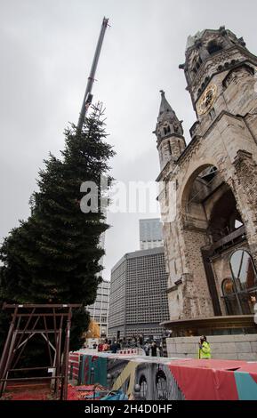 Berlin, Deutschland. November 2021. Mit Hilfe eines Krans wird der Weihnachtsbaum an der Gedächtniskirche aufgesetzt. Quelle: Paul Zinken/dpa/Alamy Live News Stockfoto