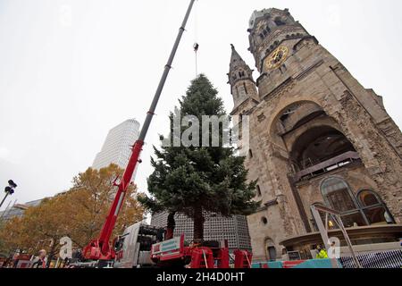 Berlin, Deutschland. November 2021. Mit Hilfe eines Krans wird der Weihnachtsbaum an der Gedächtniskirche aufgesetzt. Quelle: Paul Zinken/dpa/Alamy Live News Stockfoto