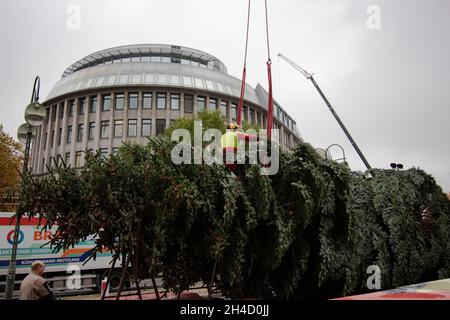 Berlin, Deutschland. November 2021. Mit Hilfe eines Krans wird der Weihnachtsbaum an der Gedächtniskirche aufgesetzt. Quelle: Paul Zinken/dpa/Alamy Live News Stockfoto