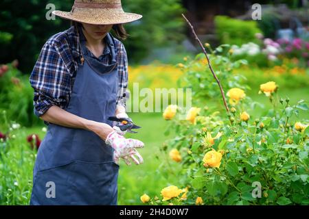 Eine Frau ist im Garten- und Landbau tätig, eine Gärtnerin in einem Strohhut, Stockfoto