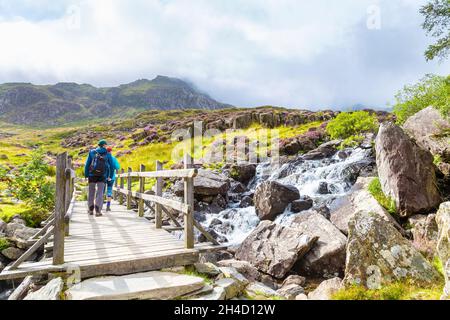 Wanderer gehen über eine Brücke auf dem Weg zu den Gipfeln Glyder Fawr und Glyder Fach im Cwm Idwal Nature Reserve, Snowdonia, Wales, Großbritannien Stockfoto