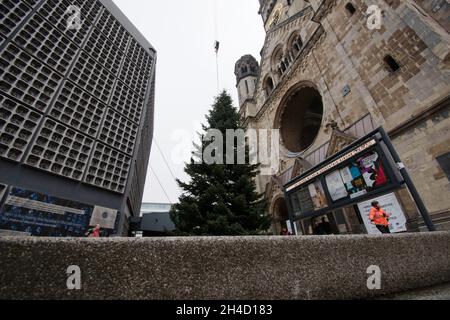 Berlin, Deutschland. November 2021. Mit Hilfe eines Krans wird der Weihnachtsbaum an der Gedächtniskirche aufgesetzt. Quelle: Paul Zinken/dpa/Alamy Live News Stockfoto