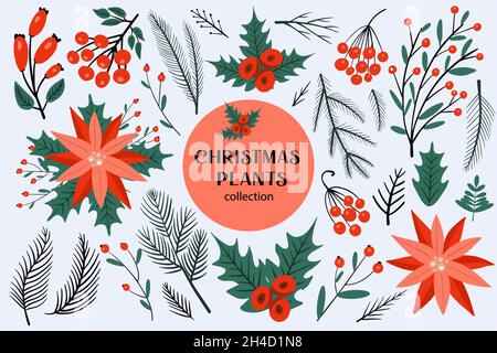 Weihnachts-Set von Pflanzen mit Blumen, Fichtenzweigen, Blättern und Beeren. Kollektion von Design-Elementen mit Weihnachtsbäumen, Weihnachtsstern, Berg Stock Vektor