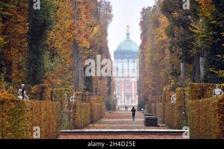 Potsdam, Deutschland. November 2021. Die Blätter der Bäume entlang des Hauptweges zum Neuen Palast im Park Sanssouci sind herbstlich geworden. Quelle: Bernd Settnik/dpa/ZB/dpa/Alamy Live News Stockfoto