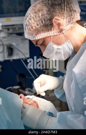 Nahaufnahme des Gesichts eines Patienten, der sich einer Blepharoplastik unterzogen hat. Der Chirurg schneidet das Augenlid und führt Manipulationen mit medizinischen Instrumenten durch. Stockfoto