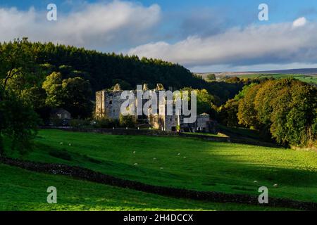 Barden Tower (historische Ruine einer alten Jagdhütte in wunderschöner ländlicher Umgebung) - landschaftlich reizvoller ländlicher Bolton Abbey Estate, Yorkshire Dales, England, Großbritannien. Stockfoto