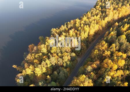 Road Turn in autamn Wald Luftdrohne Ansicht Stockfoto