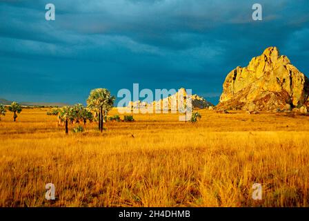 Madagaskar. Parc National de l’Isalo. // Madagaskar. Sandsteinmassiv im Isolo Nationalpark. Stockfoto